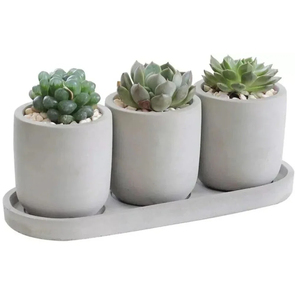 Set of 3 Succulent Planters 2.9
